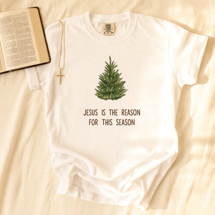 Comfort Colors Jesus is The Reason T-Shirt