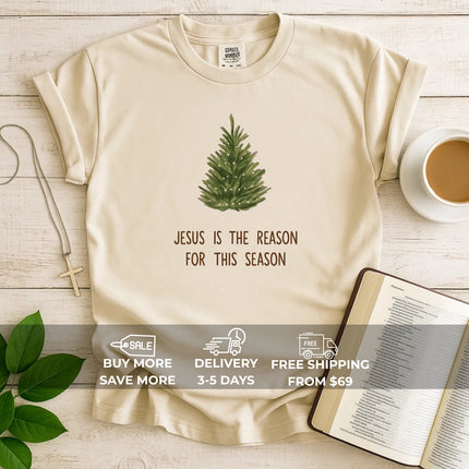 Comfort Colors Jesus is The Reason T-Shirt