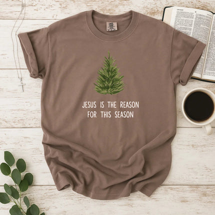 Comfort Colors Jesus is The Reason T-Shirt