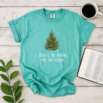Comfort Colors Jesus is The Reason T-Shirt