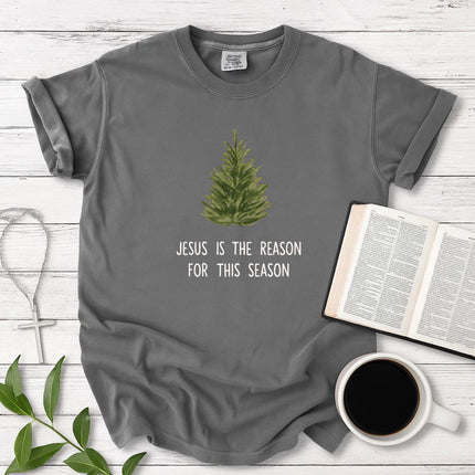 Comfort Colors Jesus is The Reason T-Shirt