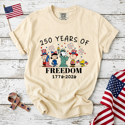Comfort Colors 250 Years of Freedom Historical Patriotic Friends T-Shirt