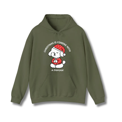 Christmas Is Coming Hoodie
