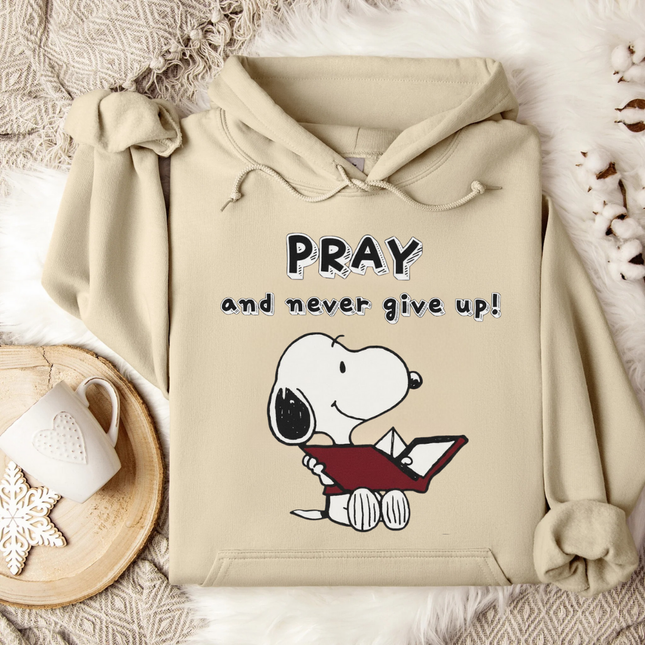 Pray and Never Give Up Hoodie