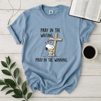 Comfort Colors Pray in the waiting T-Shirt