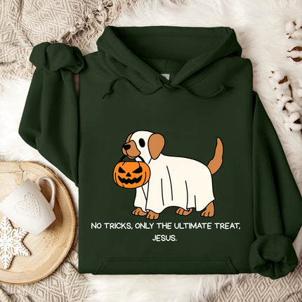 No Trick Only Treat Gildan Hoodie