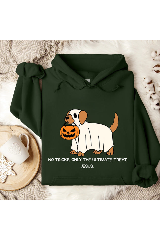 No Trick Only Treat Gildan Hoodie