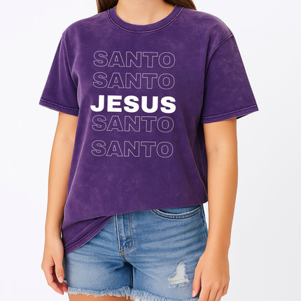 Vintage Mineral Wash Tee SANTO JESUS Stacked Design
