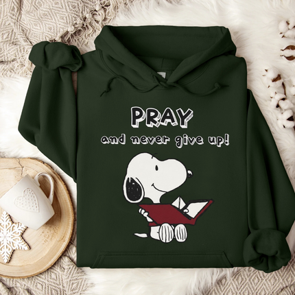 Pray and Never Give Up Hoodie