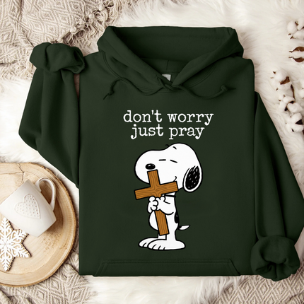 Don't worry Just pray Hoodie