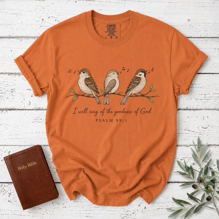Comfort Colors I Will Sing of the Goodness of God Sparrow T-Shirt