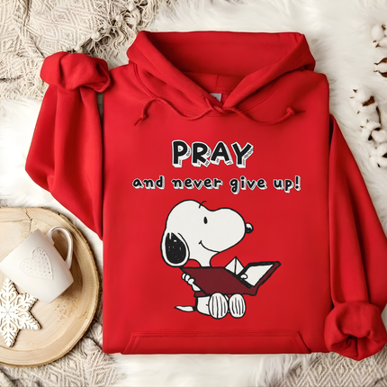 Pray and Never Give Up Hoodie