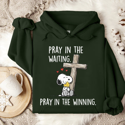 Pray in the Waiting Hoodie