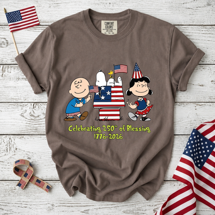 Comfort Colors Celebrating 250th of Blessing Patriotic Friends T-Shirt