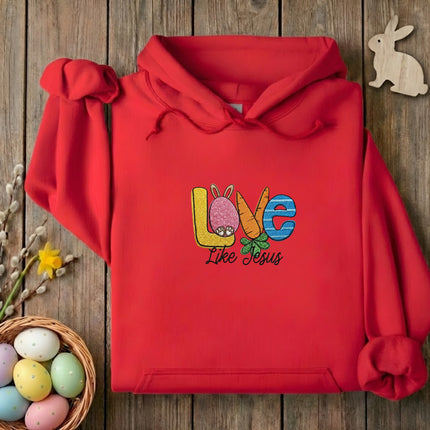 Love Like Jesus Embroidered Hoodie