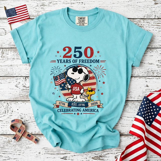 Comfort Colors 250 Years of Freedom Celebrating America T-Shirt