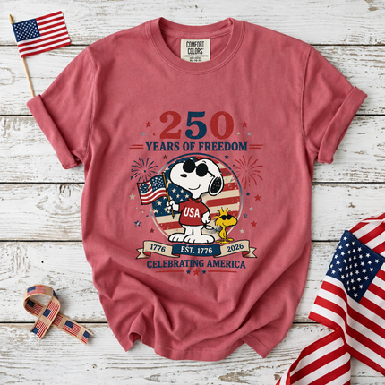 Comfort Colors 250 Years of Freedom Celebrating America T-Shirt