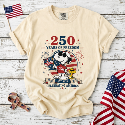 Comfort Colors 250 Years of Freedom Celebrating America T-Shirt