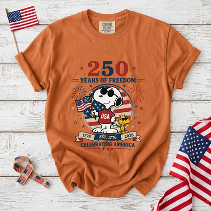 Comfort Colors 250 Years of Freedom Celebrating America T-Shirt