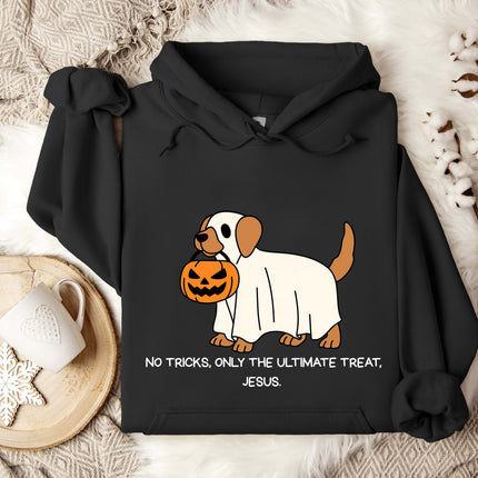 No Trick Only Treat Gildan Hoodie