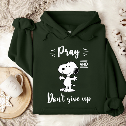 Pray and Don't give up Hoodie
