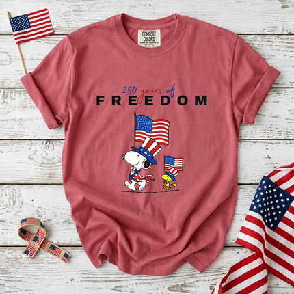Comfort Colors 250 Years Of Freedom T-Shirt