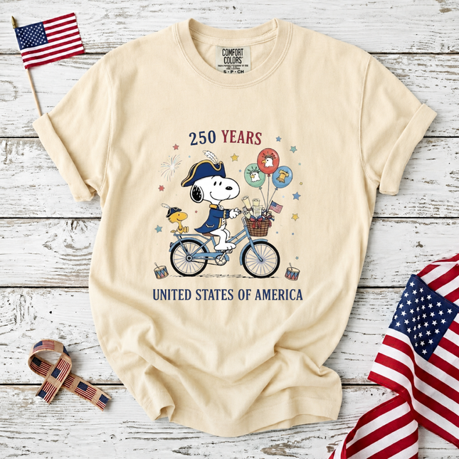 Comfort Colors 250 Years United States of America T-Shirt