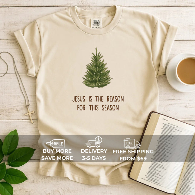 Comfort Colors Jesus is The Reason T-Shirt