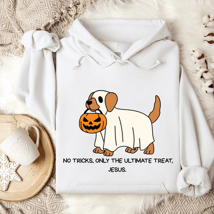 No Trick Only Treat Gildan Hoodie