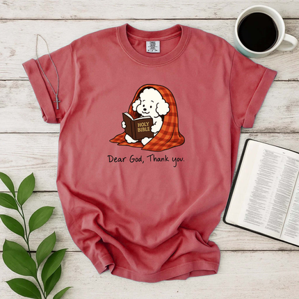 Comfort Colors Dear God Thank You T-Shirt