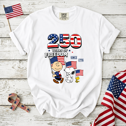 Comfort Colors 250 Years of Freedom Patriotic Friends Flag T-Shirt