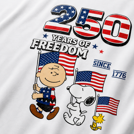 Comfort Colors 250 Years of Freedom Patriotic Friends Flag T-Shirt