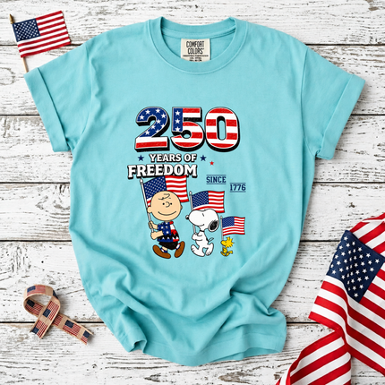 Comfort Colors 250 Years of Freedom Patriotic Friends Flag T-Shirt