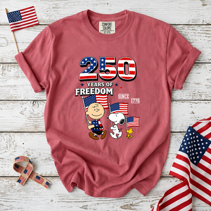 Comfort Colors 250 Years of Freedom Patriotic Friends Flag T-Shirt