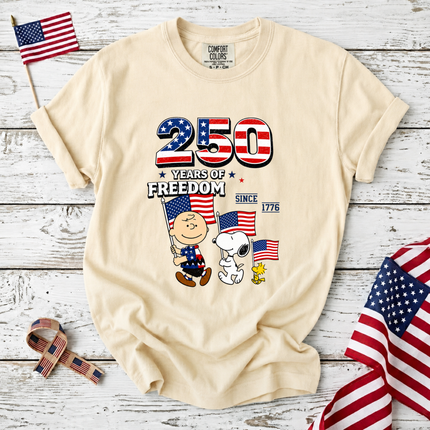 Comfort Colors 250 Years of Freedom Patriotic Friends Flag T-Shirt