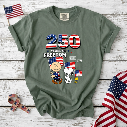Comfort Colors 250 Years of Freedom Patriotic Friends Flag T-Shirt