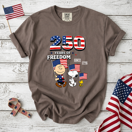 Comfort Colors 250 Years of Freedom Patriotic Friends Flag T-Shirt