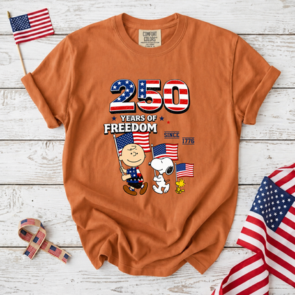 Comfort Colors 250 Years of Freedom Patriotic Friends Flag T-Shirt