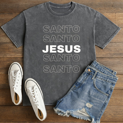 Vintage Mineral Wash Tee SANTO JESUS Stacked Design