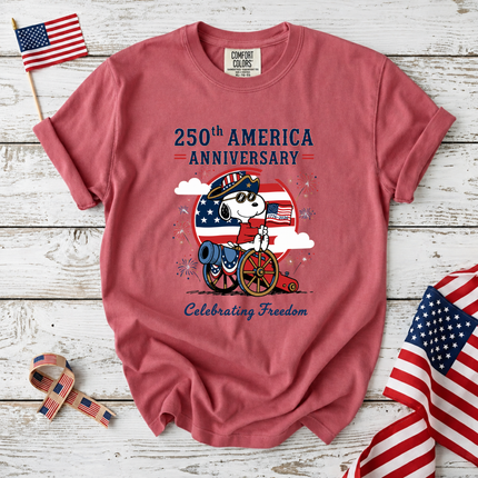 Comfort Colors 250th America Anniversary Celebrating Freedom Cannon T-Shirt