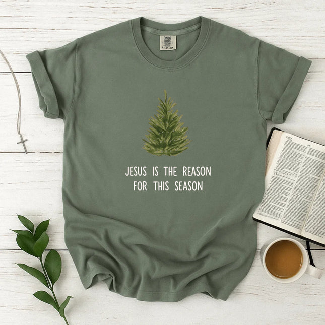 Comfort Colors Jesus is The Reason T-Shirt