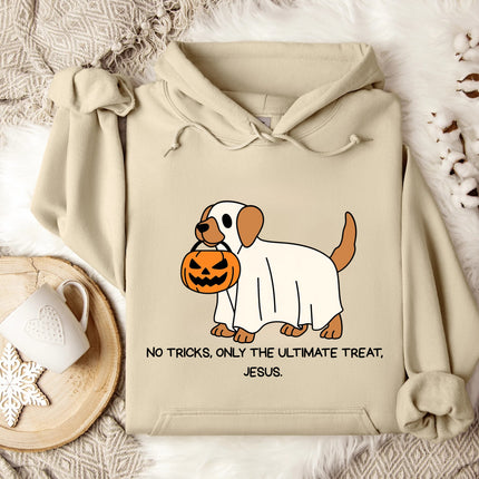 No Trick Only Treat Gildan Hoodie