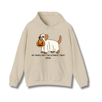No Trick Only Treat Gildan Hoodie