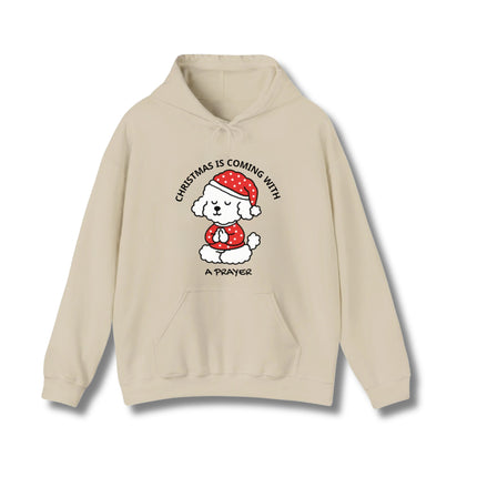 Christmas Is Coming Hoodie