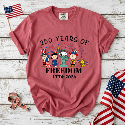 Comfort Colors 250 Years of Freedom Historical Patriotic Friends T-Shirt