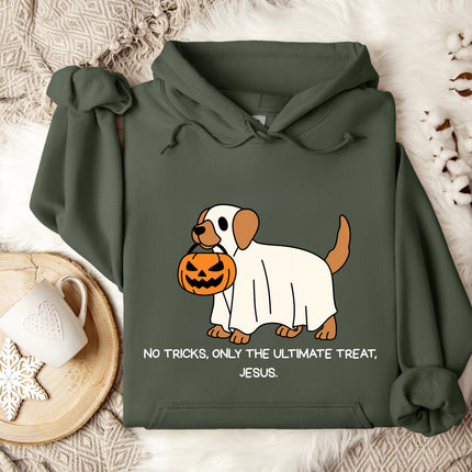 No Trick Only Treat Gildan Hoodie