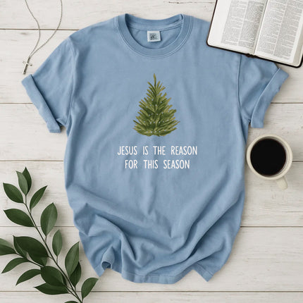 Comfort Colors Jesus is The Reason T-Shirt